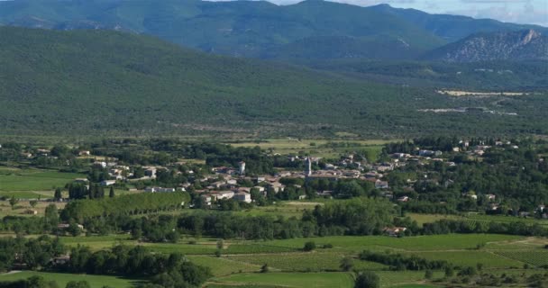 Pompignan Gard Departmanı Occitanie Fransa Üzüm Bağı Manzarası Arka Planda — Stok video