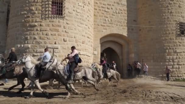 Aigues Mortes Camargue Occitanie Frankrijk Gardianen Stierenhoeders Camargue Paarden Drijven — Stockvideo