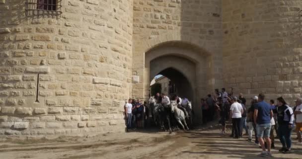 Aigues Mortes Camargue Occitanie Francja Ogrodnicy Lub Pasterze Byków Koniach — Wideo stockowe