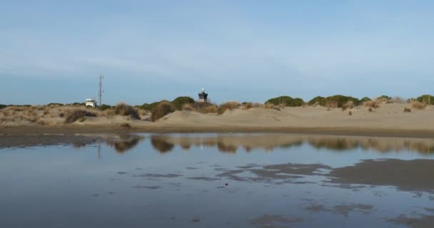 Phare Espiguette Grau Roi Gard Languedoc Roussillon France — Video