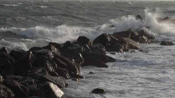 Olas Estrellándose Sobre Rocas Mar Mediterráneo Francia — Vídeos de Stock