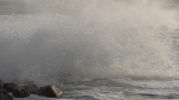 Fale Uderzające Skały Morze Śródziemne Francja — Wideo stockowe