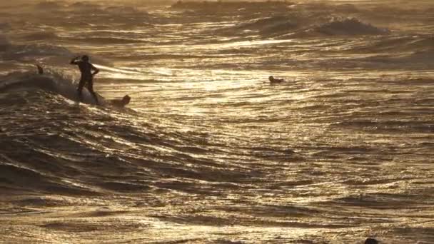 Surfing Στο Ηλιοβασίλεμα Palavas Les Flot Occitanie Γαλλία — Αρχείο Βίντεο