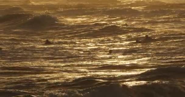 Surf Atardecer Palavas Les Flots Occitanie Francia — Vídeo de stock