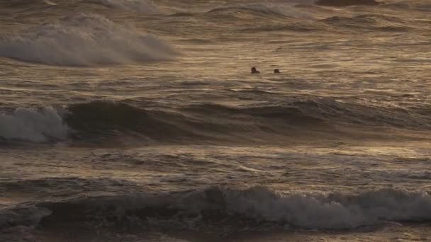 Surfing Στο Ηλιοβασίλεμα Palavas Les Flot Occitanie Γαλλία — Αρχείο Βίντεο