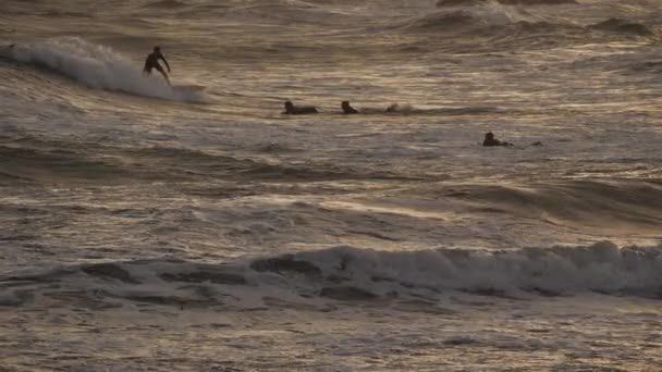 Surfování Při Západu Slunce Palavas Les Flots Occitanie Francie — Stock video