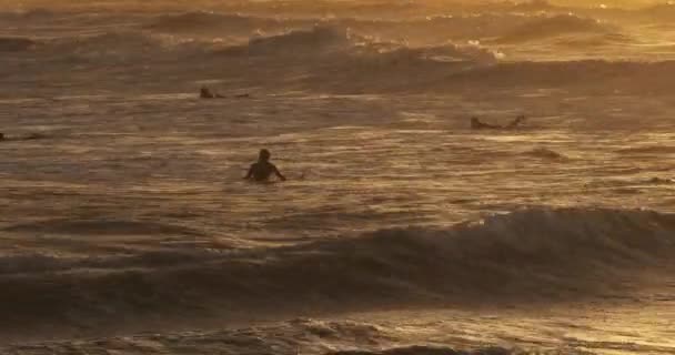 日没時のサーフィン パラヴァ フロット オッチニー フランス — ストック動画