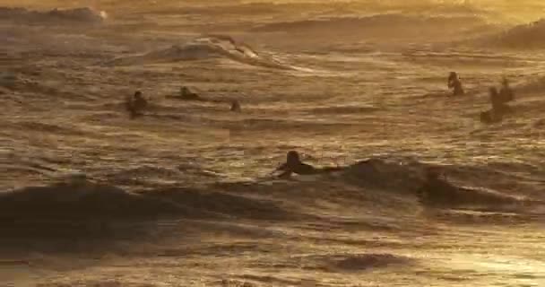 Surfing Στο Ηλιοβασίλεμα Palavas Les Flot Occitanie Γαλλία — Αρχείο Βίντεο