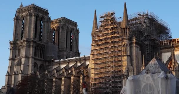 Katedralen Notre Dame Ile Cite Paris Frankrike Brinner Den April — Stockvideo