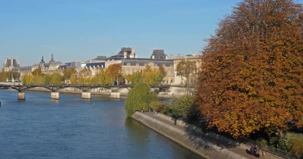 Paris Och Floden Seine Från Pont Neuf Ile Cite Frankrike — Stockvideo