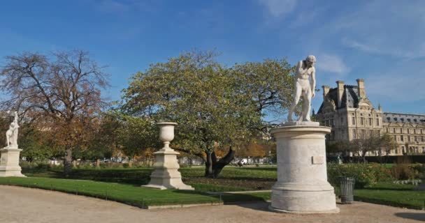 Der Tuileries Garten Und Das Louvre Museum Arrondissement Paris France — Stockvideo