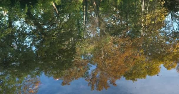 Lunaret Naturreservat Montpellier Departement Hrault Okzitanien Frankreich Reflexion Fluss Lez — Stockvideo