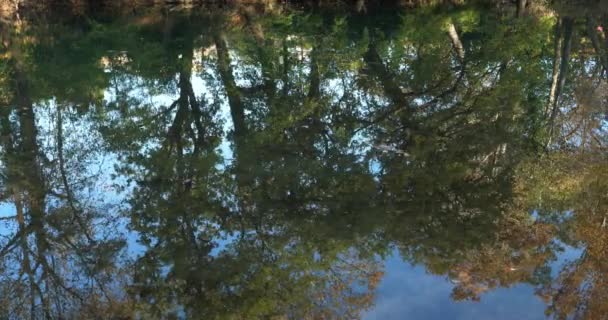 Lunaret Naturreservat Montpellier Departement Hrault Okzitanien Frankreich Reflexion Fluss Lez — Stockvideo