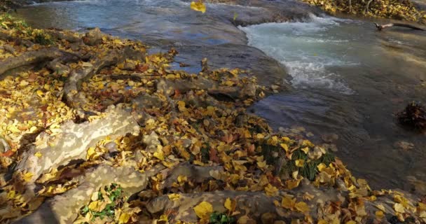 Lunaret Nature Reserve Montpellier Departement Hrault Okzitanien Frankreich Der Fluss — Stockvideo