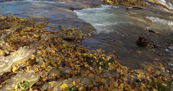 Lunaret Nature Reserve Montpellier Departement Hrault Okzitanien Frankreich Der Fluss — Stockvideo