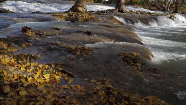 Lunaret Nature Reserve Montpellier Departement Hrault Okzitanien Frankreich Der Fluss — Stockvideo