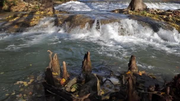 Lunaret Nature Reserve Montpellier Departement Hrault Okzitanien Frankreich Der Fluss — Stockvideo