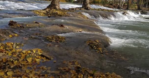 Lunaret Nature Reserve Montpellier Hrault Department Occitanie Francie Řeka Lez — Stock video