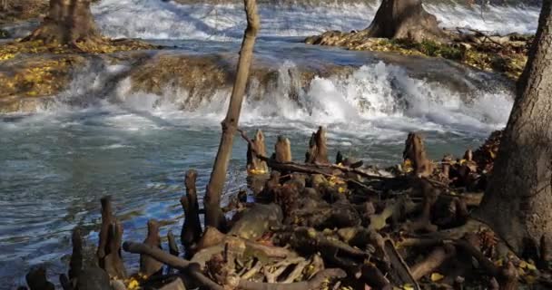 法国维吉尼亚省Hrault省Montpellier的Lunaret自然保护区 卢纳莱自然保护区的莱兹河 — 图库视频影像