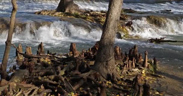 Lunaret Nature Reserve Montpellier Departement Hrault Okzitanien Frankreich Der Fluss — Stockvideo