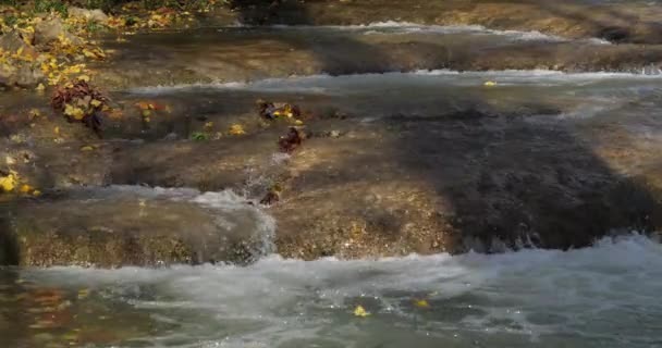 Réserve Naturelle Lunaret Montpellier Département Hrault Occitanie France Rivière Lez — Video