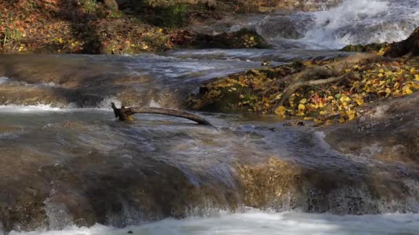 Lunaret Nature Reserve Montpellier Διαμέρισμα Hrault Occitanie Γαλλία Ποταμός Lez — Αρχείο Βίντεο