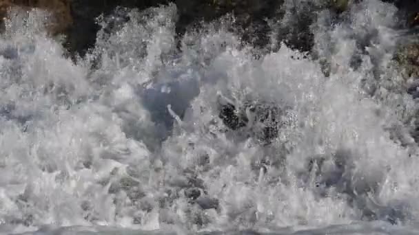 Lunaret Nature Reserve Montpellier Hrault Department Occitanie França Rio Lez — Vídeo de Stock