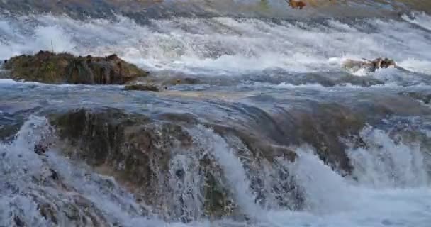 法国维吉尼亚省Hrault省Montpellier的Lunaret自然保护区 卢纳莱自然保护区的莱兹河 — 图库视频影像
