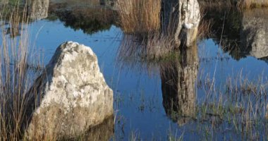 Taş dizilimleri, Carnac, Morbihan, Brittany, Fransa. Menec hizalamasında taşlar