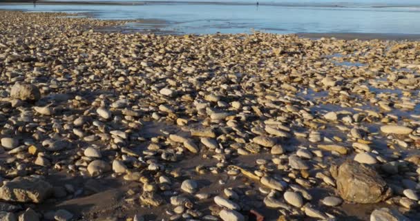 Lion Sur Mer Calvados Department Normandie Francie — Stock video