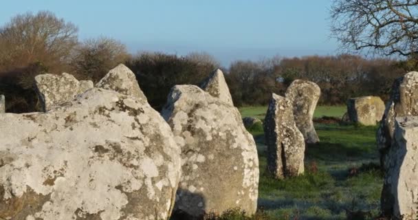 Kerzerho Alignments Erdeven Morbihan Bretagne Franciaország — Stock videók