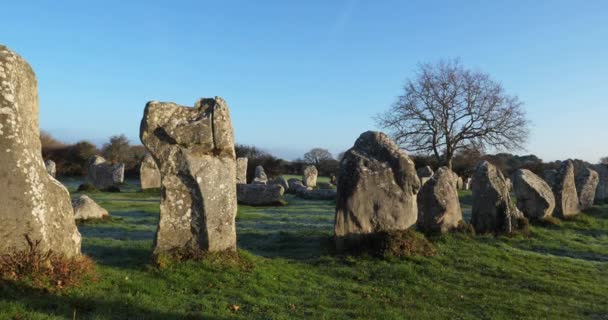 Kerzerho Alignments Erdeven Morbihan Bretagne Franciaország — Stock videók