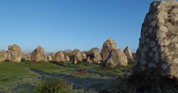 Die Ausrichtungen Von Kerzerho Erdeven Morbihan Bretagne Frankreich — Stockvideo