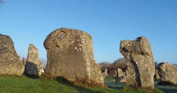 Die Ausrichtungen Von Kerzerho Erdeven Morbihan Bretagne Frankreich — Stockvideo