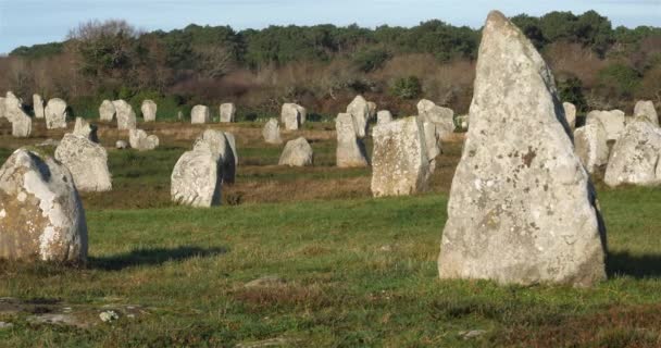 Stenjusteringarna Carnac Morbihan Bretagne Frankrike Stenar Menec Linjen — Stockvideo