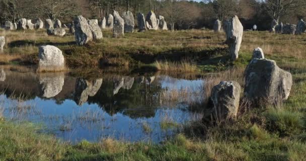 Die Steinausrichtungen Carnac Morbihan Bretagne Frankreich Steine Der Menec Ausrichtung — Stockvideo