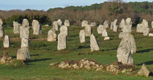 Stenjusteringarna Carnac Morbihan Bretagne Frankrike Stenar Menec Linjen — Stockvideo