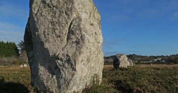 Taş Dizilimleri Carnac Morbihan Brittany Fransa Menec Hizalamasında Taşlar — Stok video