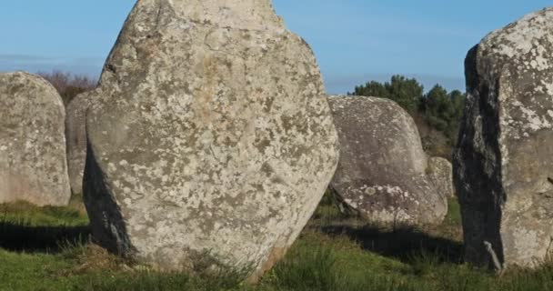 石の配置 カルナック モルビアン ブルターニュ フランス メネックの配置の石 — ストック動画