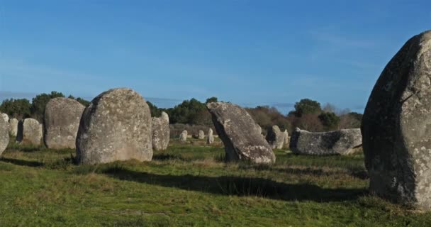 Λίθινες Ευθυγραμμίσεις Carnac Morbihan Brittany France Πέτρες Στην Ευθυγράμμιση Menec — Αρχείο Βίντεο