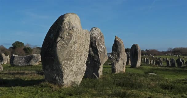 Stenjusteringarna Carnac Morbihan Bretagne Frankrike Stenar Menec Linjen — Stockvideo