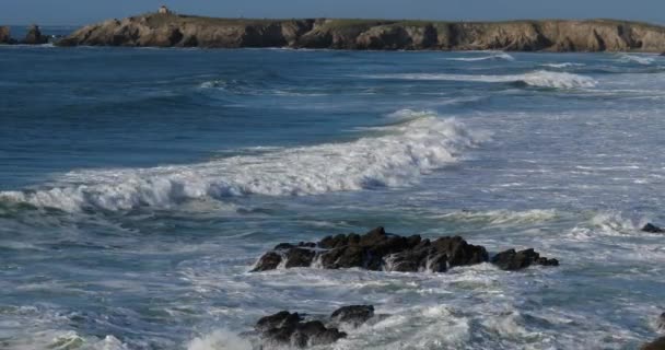 Côte Sauvage Péninsule Quiberon Morbihan Bretagne France — Video