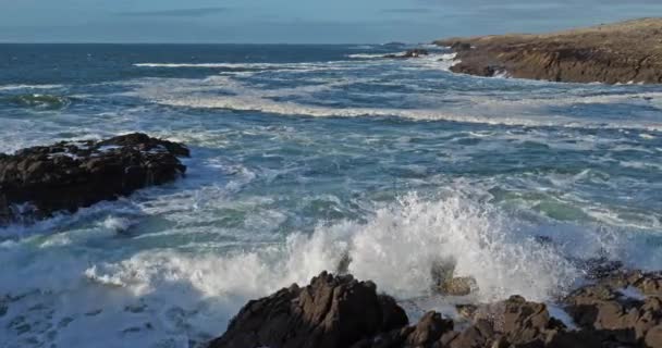 Côte Sauvage Péninsule Quiberon Morbihan Bretagne France — Video