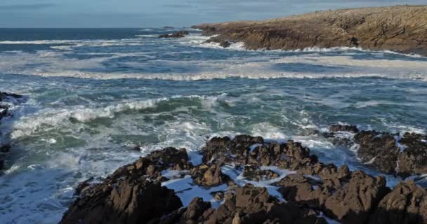 Côte Sauvage Péninsule Quiberon Morbihan Bretagne France — Video