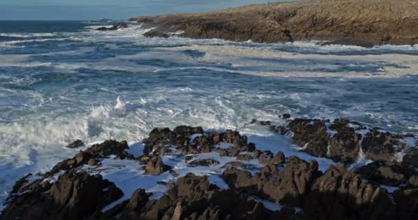 Cote Sauvage Península Quiberon Morbihan Bretaña Francia — Vídeos de Stock