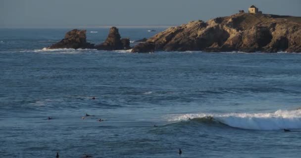 Côte Sauvage Péninsule Quiberon Morbihan Bretagne France — Video