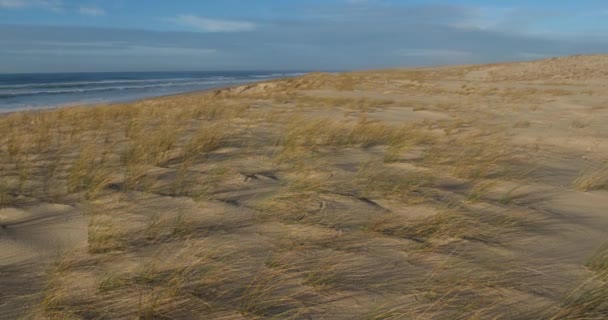 Kaptan Ferret Lge Cap Ferret Gironde Departmanı Nouvelle Aquitaine Bölgesi — Stok video