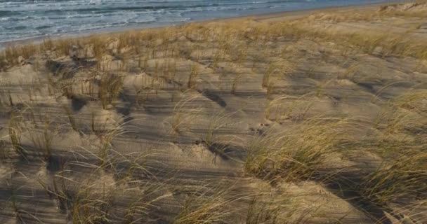 Cap Ferret Lge Cap Ferret Gironde Regio Nouvelle Aquitaine Frankrijk — Stockvideo