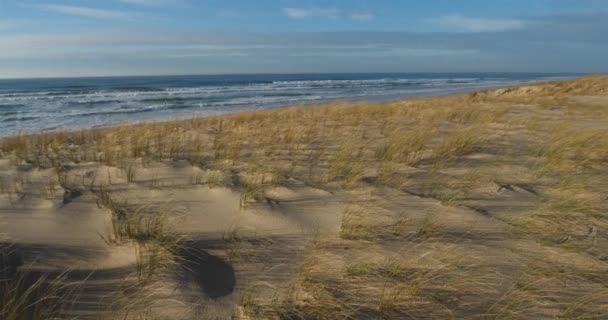 Cap Ferret Lge Cap Ferret Departamento Gironda Región Nouvelle Aquitania — Vídeo de stock