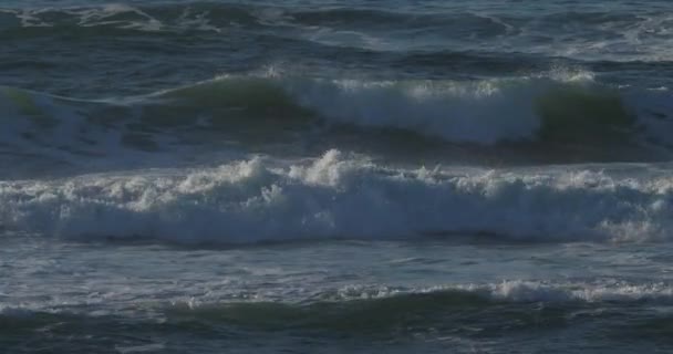 Cap Ferret Lge Cap Ferret Departamento Gironde Região Nouvelle Aquitaine — Vídeo de Stock